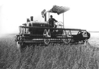 Harvesting the fields.