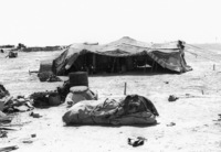 The Israeli Government decided to establish a permanent resident for the Nomads Beduin community in the Negev.