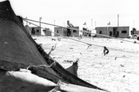 The Israeli Government decided to establish a permanent resident for the Nomads Beduin community in the Negev.