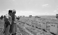 The Kadi of Haifa, Sheik Zuabi Mukadet, visited the temporary military graves of the Syrian soldiers who fell during the Yom Kippur War in 1973.