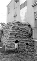 The village of Yardena in Galilee was shelled by Arabs from Lebanon.