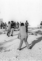 טרור ערבי - הטבח במעלות.