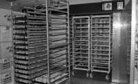 A huge poultry factory at Shaar Hanegev produce a large quantity of eggs and chicken meat for the local market as well as for abroad.