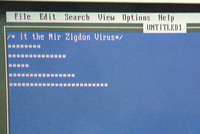 Zigdon Nir, a young computer hacker, destroyed an Iraqi WEB site which asked the searchers to kill Jews on their computer by clicking a button.