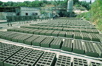 Bricks enterprise at Kfar Hassidim.