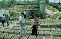 Bricks enterprise at Kfar Hassidim.