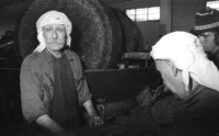 Making olive oil in Ilabun.