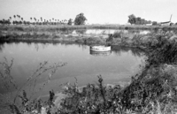 A drainage canal near the Mikve Israel agricultural school south of Tel Aviv caused a mosquito plaque in the near by populated area.