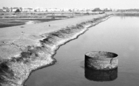 A drainage canal near the Mikve Israel agricultural school south of Tel Aviv caused a mosquito plaque in the near by populated area.