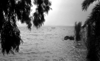 The Kinneret Lake.