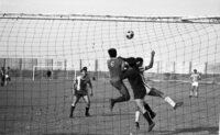 Soccer Game.