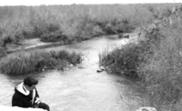The Natural Reserve organised an operation for the Israelis who most of them are new immigrants, calling it: 'Know your Country'.