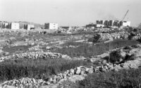 בתים חדשים בקרית ארבע.