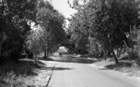 A picturesqe lane at Ramat Hasharon.