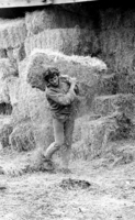 חיל הנח"ל של צהל הקים את היאחזות נחל גולן ברמת הגולן, המחברת בין המחרשה והנשק על ידי החזקת המקום ושמירה עליו.