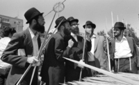 Orthodox Jews checking the Lulav one of the four pieces which are used in the Succot prayers.