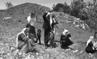 On the Israel-Lebanese and Syrian tri-angle border, there is a daily meeting between families who live in separated.