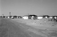 The new settlemnt Naot Sinai.