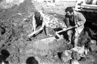 During the preparations for the new Kibbutz Ortal, a buldozer encovered a huge stone with an ancient Hebrew description and 3 graves which belong to the 3rd century BC.
