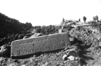 During the preparations for the new Kibbutz Ortal, a buldozer encovered a huge stone with an ancient Hebrew description and 3 graves which belong to the 3rd century BC.