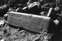 During the preparations for the new Kibbutz Ortal, a buldozer encovered a huge stone with an ancient Hebrew description and 3 graves which belong to the 3rd century BC.
