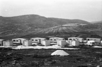 The new settlemet of Shilo.