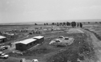 The new settlement at Gamla.
