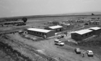 The new settlement at Gamla.