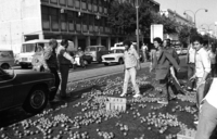 The merchendizers of the central vegetable market in Tel Aviv demonstrated throwing boxes with tomatoes on the street outside the market, in protest of the government decisions.
