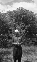 Druze farmers fumigating the olive trees at Tabcha.