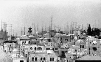 A forest of TV antennas in the old Sity of Jerusalem.