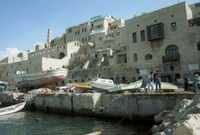 The Jaffa fishing boat port.