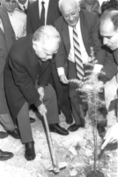 TU BISHVAT TREE PLANTING ROW.