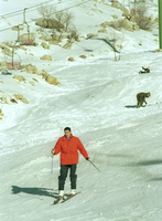 HERMON SLOPES OPEN FOR SKI SEASON.