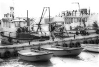 The fishing port at Jaffa.