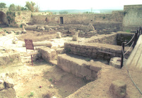 Excavations at Shuni archaeological site.