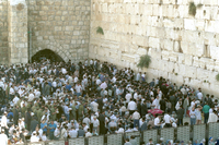 Today in the ninth of the Hebrew month of Av, known in Hebrew as Tisha B'Av, it is a day of mourning that commemorates the destruction of the two Temples, The first temple was destroyed by King Nebuchadnezzar in the year 586 BCE, Rebuilt again 68 years later, it was destroyed again in the year 70 CE by the Roman Emperor Hadrian, Both temples were destroyed on the 9th of Av, The day is a fast day that unfortunately has many bad memories for the Jewish people, It was also on this day 498 years ago that the expulsion order of the Jews was made in Spain, It is also a day to remember the 6 million Jews who died in the Holocaust, even though there is a special day set aside for this apart from the 9th Av, Religious Jews feel that the fast will be set aside when the whole of the world is at complete peace with each other in a messianic age.