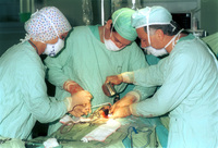 An Orological surgical operation at the Tel Hashomer Hospital.