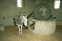 ERETZ ISRAEL MUSEUM.