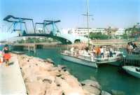 Eilat, the southern town of Israel became the most tourist attraction by Israelis as well as by foreigners.