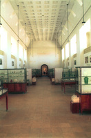 Inside the Rockefeller Museum in East Jerusalem.
