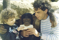 PESACH IN THE JEWISH STATE - EVEN MONKEYS EAT MATZA One of the monkeys at Rishon.