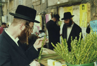 Thousands of Israelis spent the last few hours before the beginning of the seven-day festival of Succot on Wednesday 29 September 1993 looking in markets for the four Succot species - Etrog, Lulav, Hadas and Arava.
