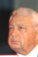 כינוס מרכז הליכוד.
