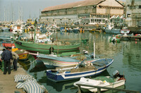 The fishing port at Jaffa.