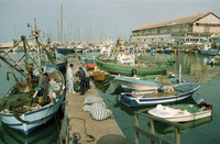 The fishing port at Jaffa.