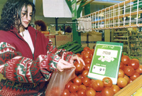 A Tel Aviv shopper cerfully selecting tomatoes for the family.