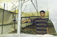 The CYCLE OF VIOLENCE CONTINUES.