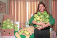 Examples of a new fruit has just been produced in Israel The Pomelit The miracles of generic fruit engineering have in this case yielded profitable results for the Jaffa Company.