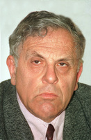 Arie Avneri Jounalist.